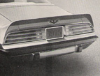 1975 Rear Spoiler Bird Decal